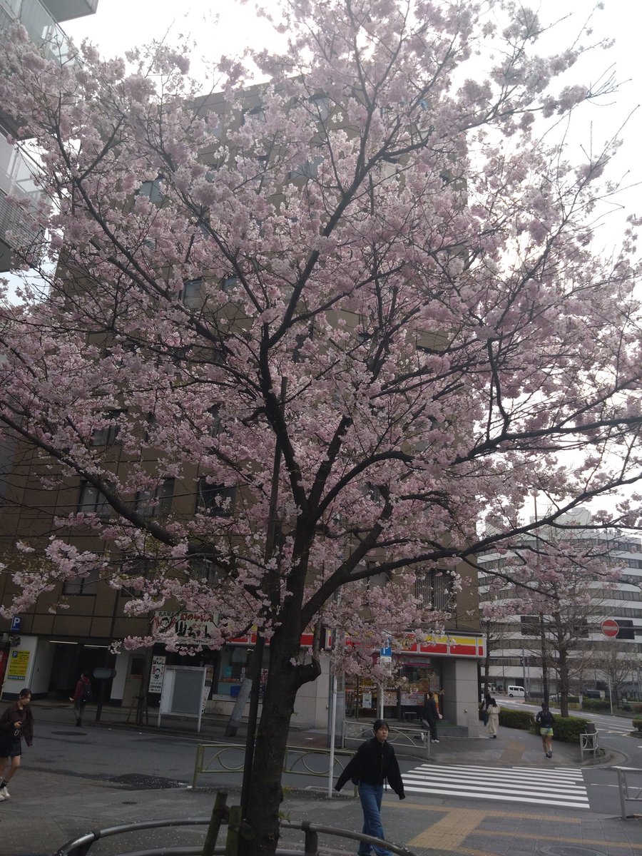 どーみん。（千葉県民） tweet media