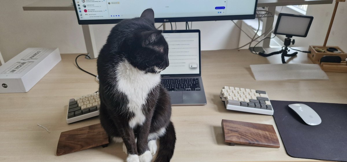 NocFree's tweet photo. Imagine working while your cat is in the middle.🐈
Just one more reason to love a split keyboard.
#NocFree #SplitKeyboard #cat #TypingComfort #DeskSetup #TypingExperience #WorkFromHomeGear https://t.co/ykYoxiY2Rg