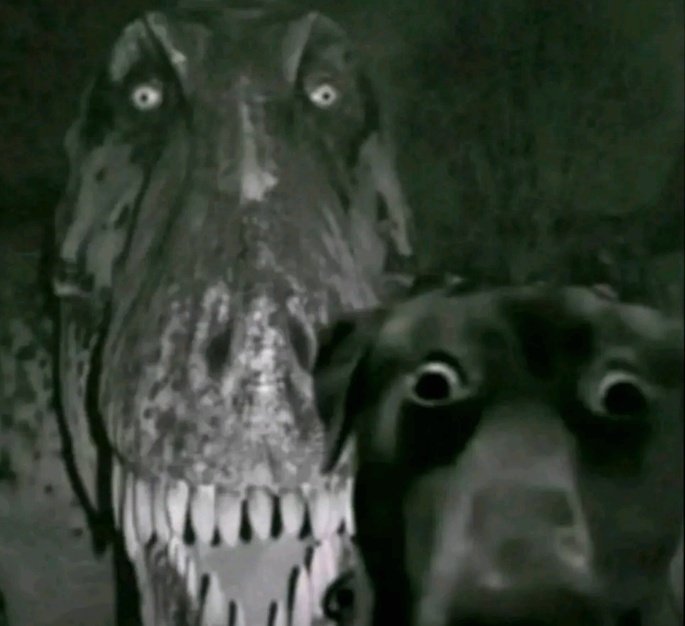 LUtherqueen⁷ tweet media