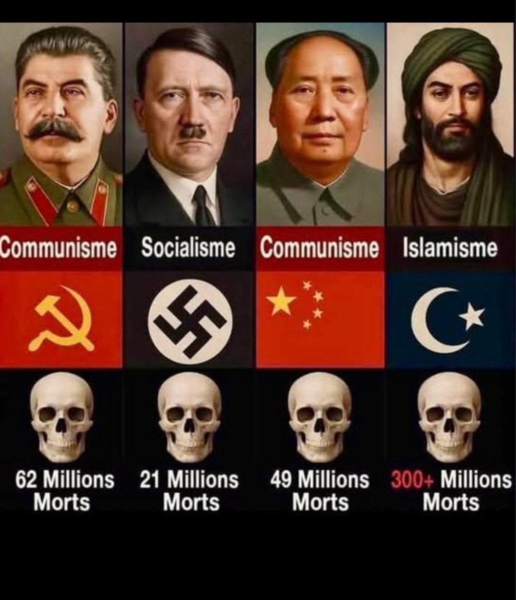 Elaine larsen tweet media