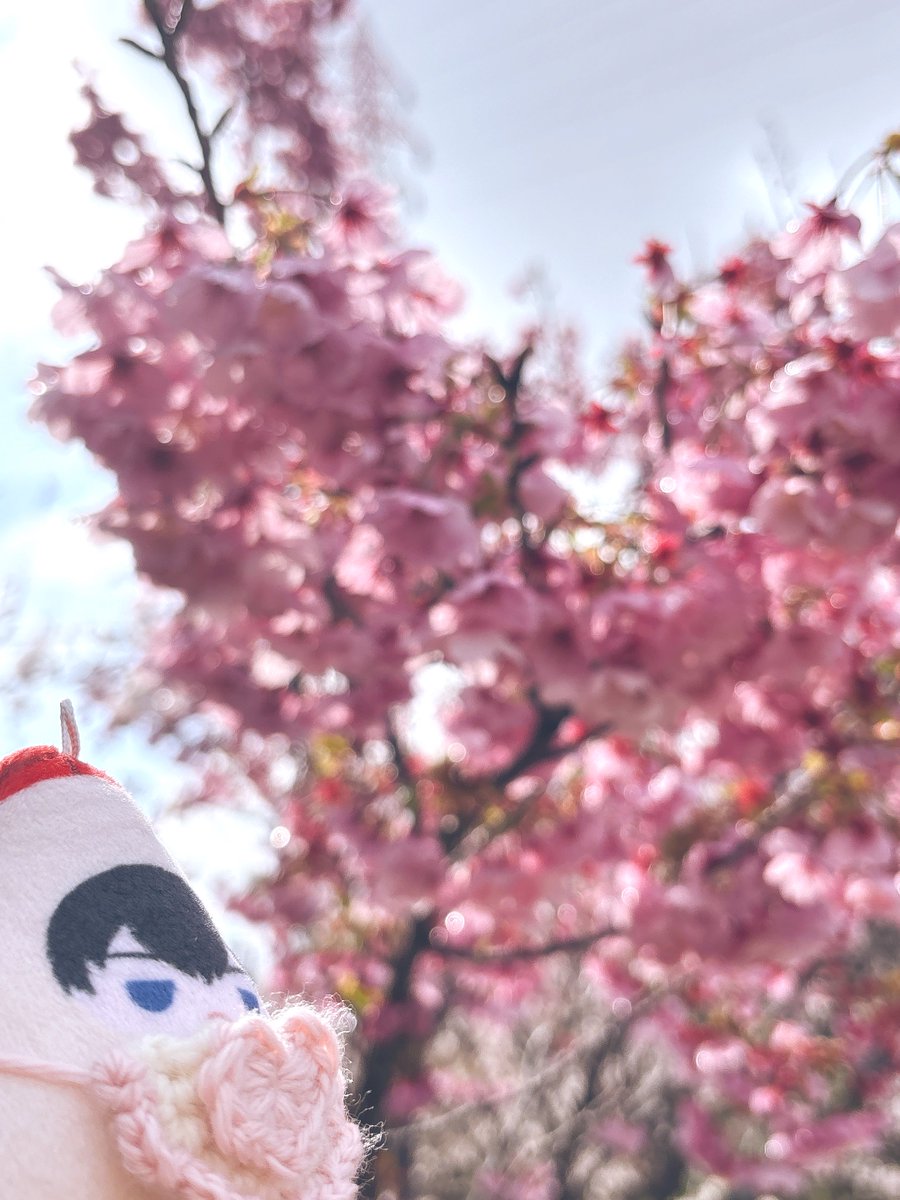 お旅🪂 tweet media