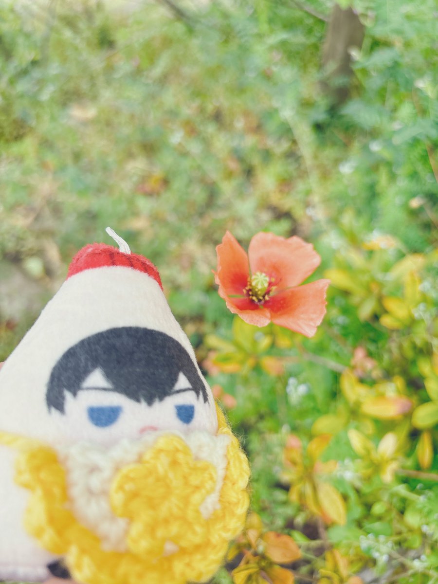 お旅🪂 tweet media