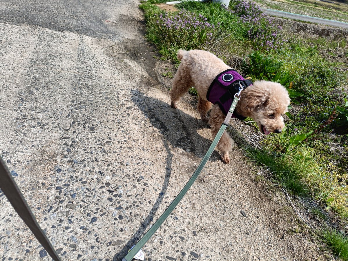 Mark_867 tweet media