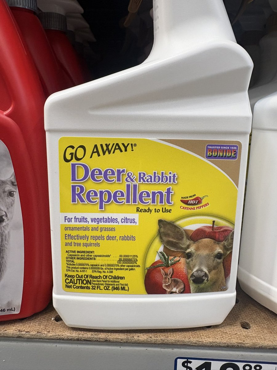 Kat🕷️ tweet media