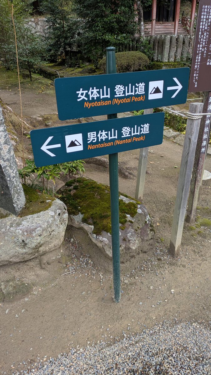 きのこスミレ tweet media