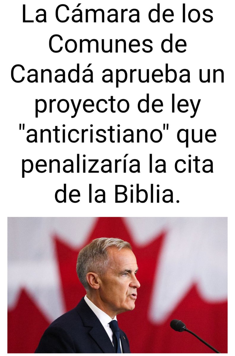 Perspectiva Consciente tweet media