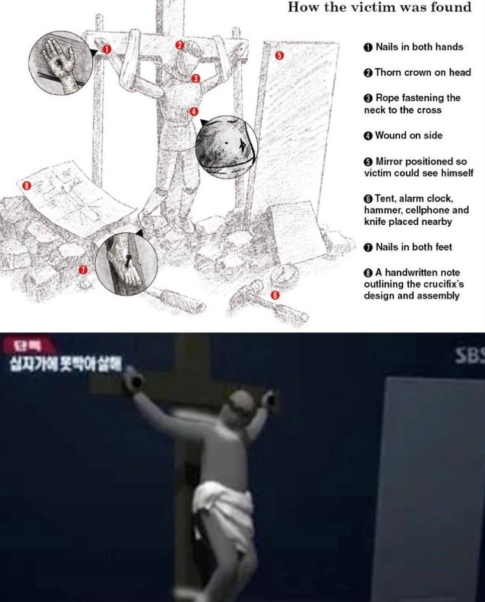 世界のど迫力映像@フォレスト(Forest)🕊️ tweet media