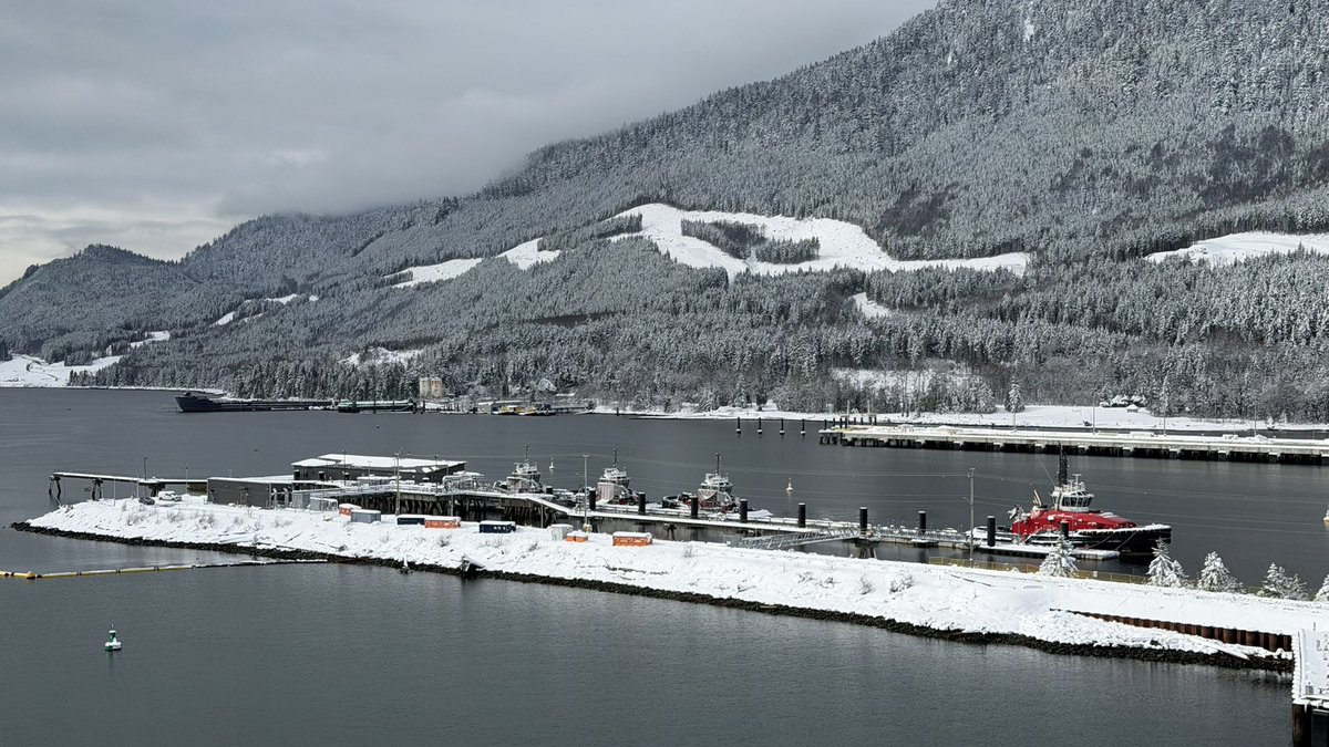 Captain ⚓️ tweet media