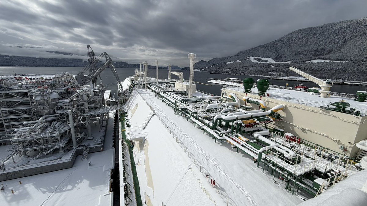 Captain ⚓️ tweet media