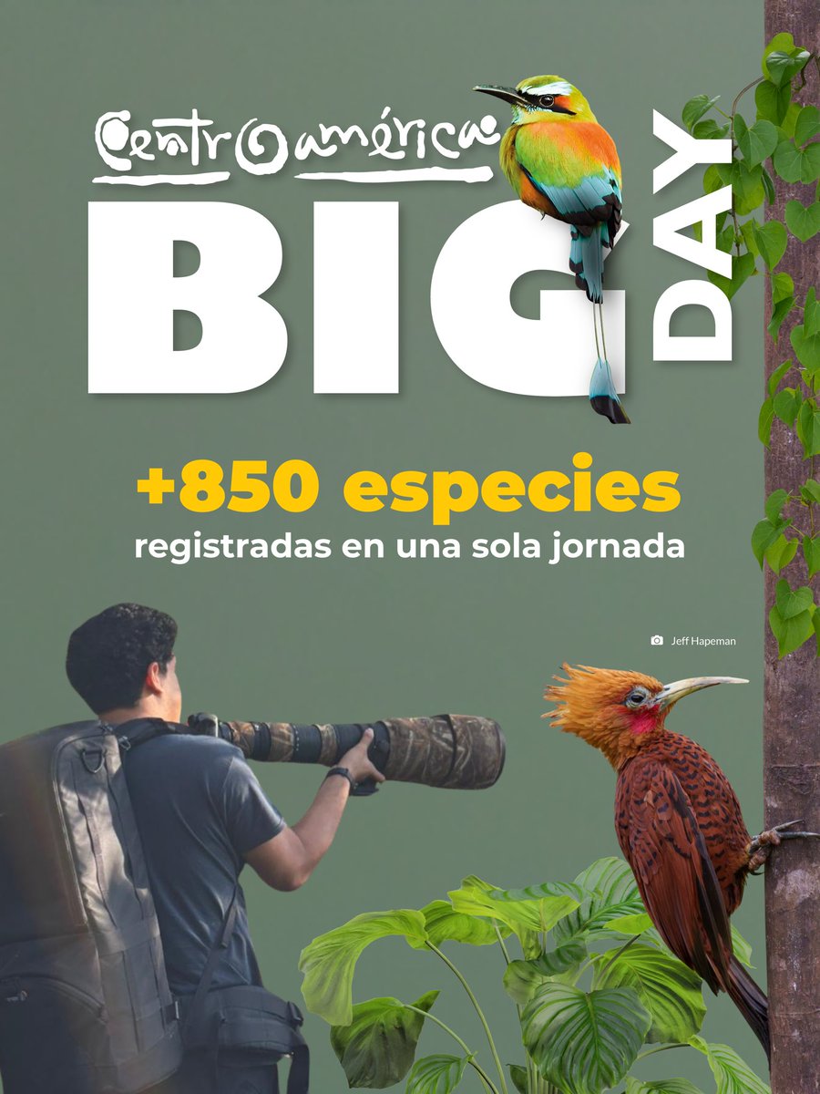 CATA Centroamérica tweet media