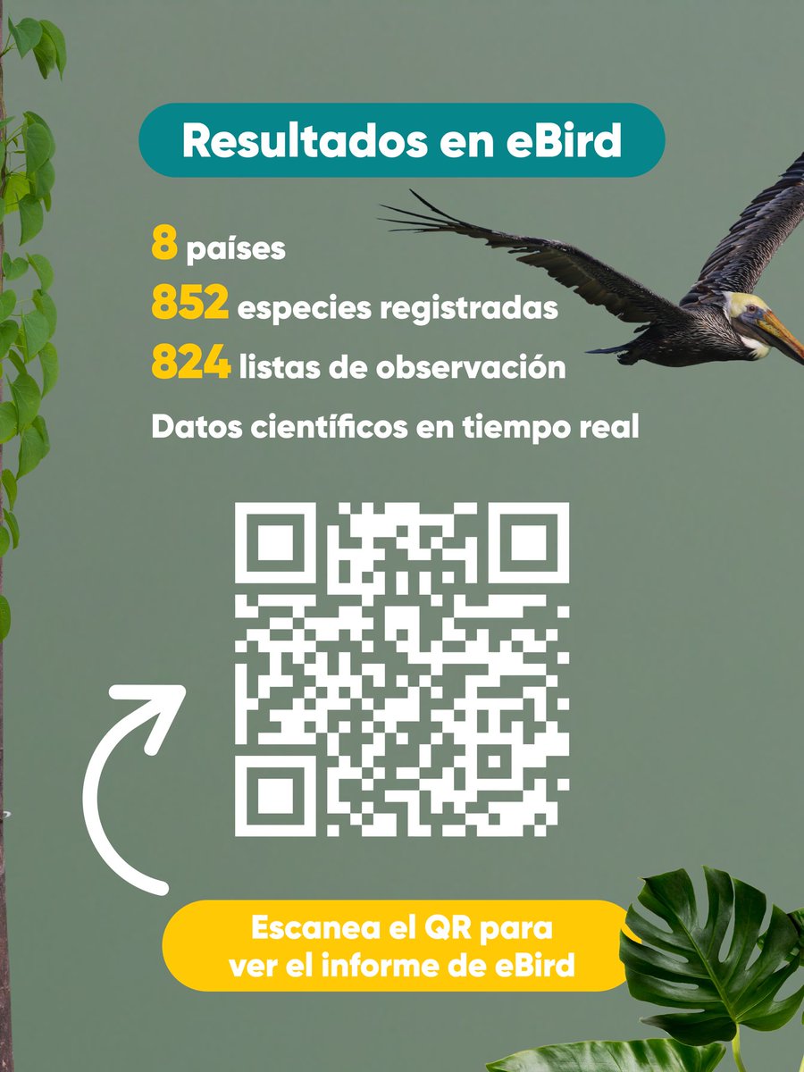 CATA Centroamérica tweet media