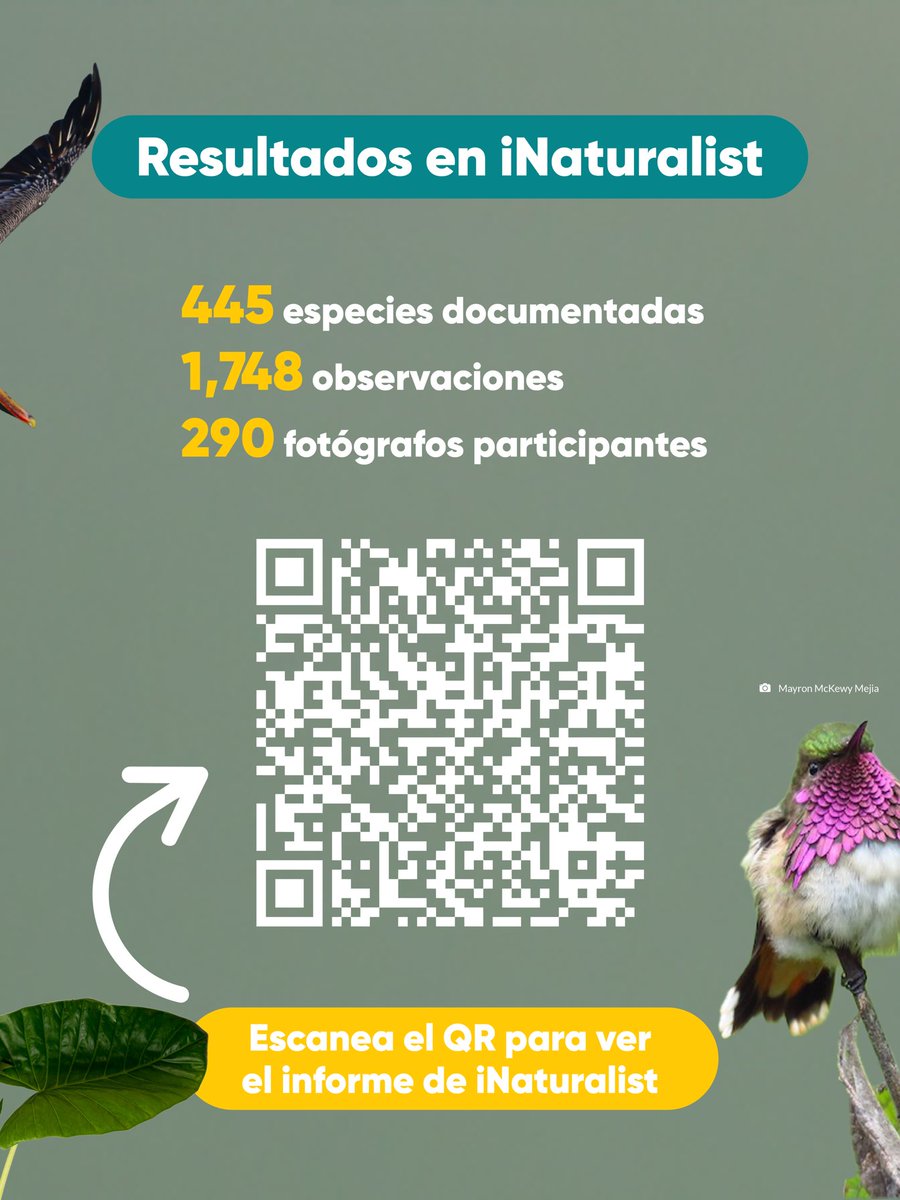 CATA Centroamérica tweet media