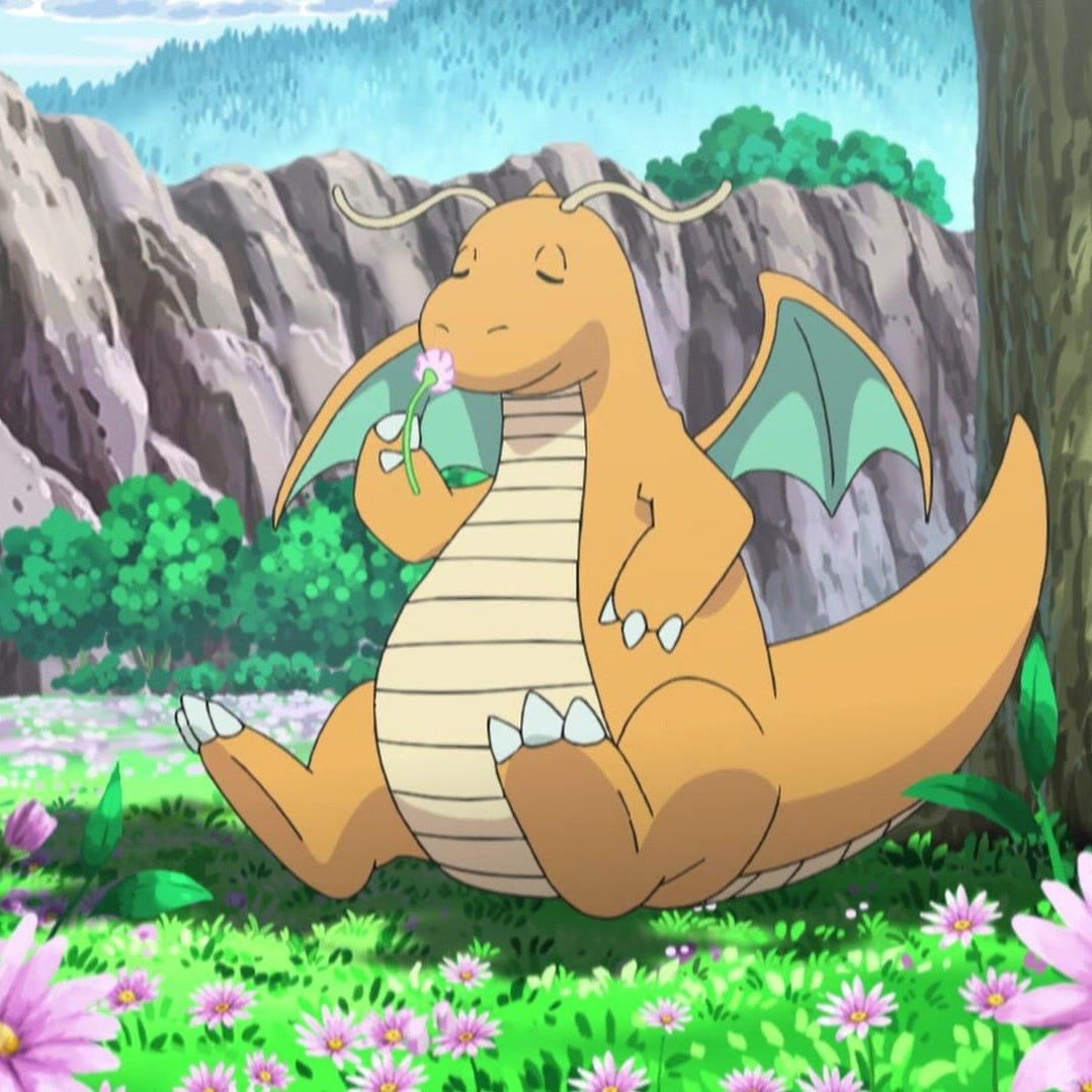 💛Dragonite the Friendly Dragon💛 tweet media