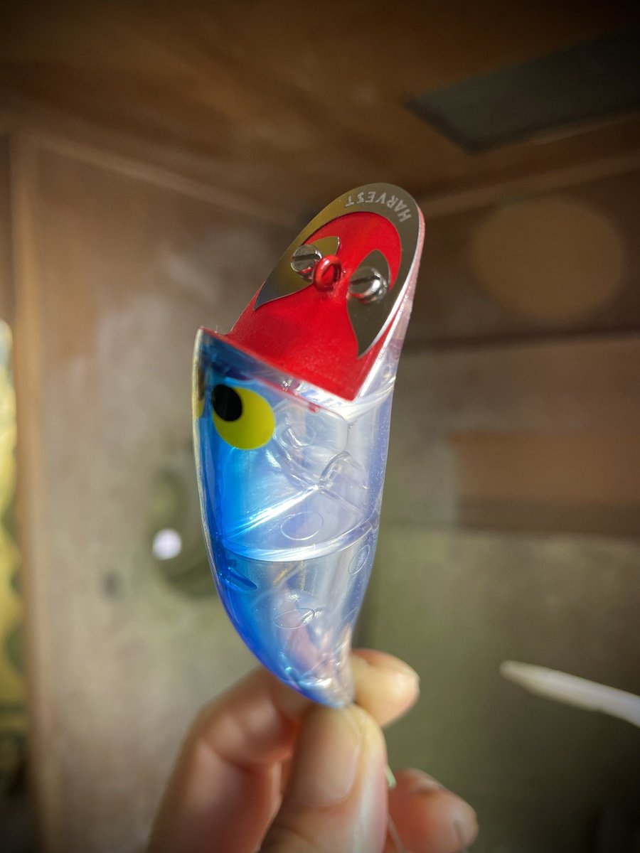 MB井佐知之 tweet media