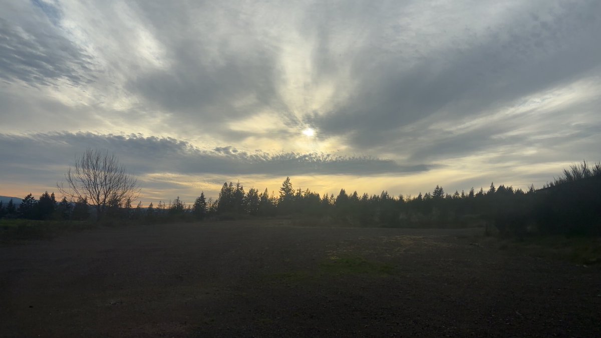 ˗ˏˋ ✴︎˚｡⋆ haze ⋆｡˚⟡ˎˊ˗ tweet media