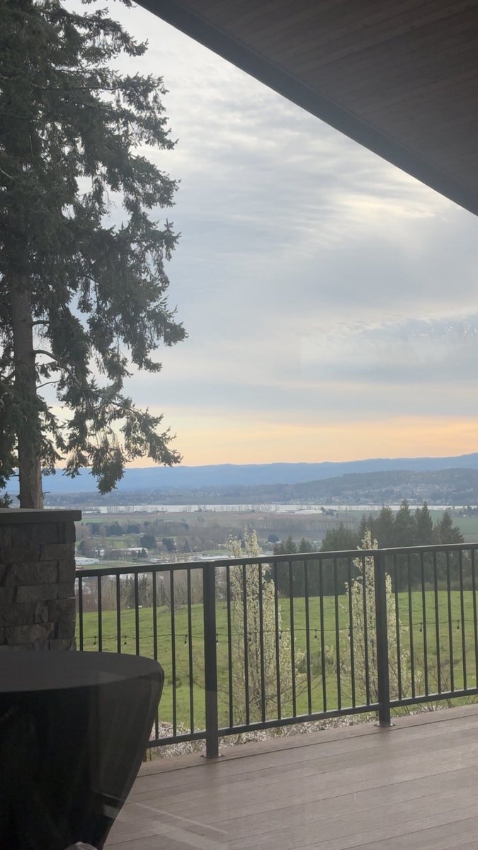 ˗ˏˋ ✴︎˚｡⋆ haze ⋆｡˚⟡ˎˊ˗ tweet media