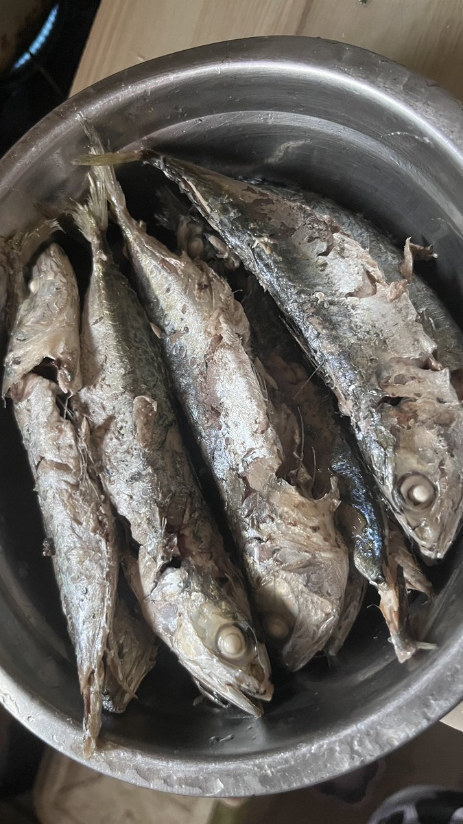 lorry🐈 tweet media