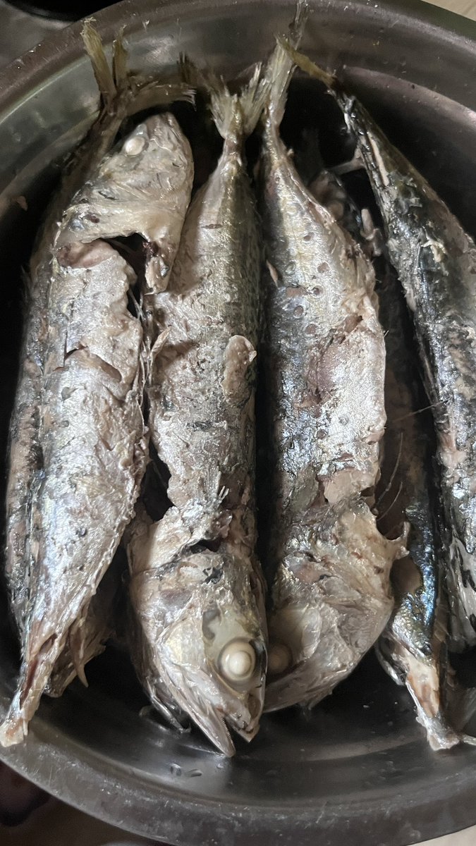 lorry🐈 tweet media