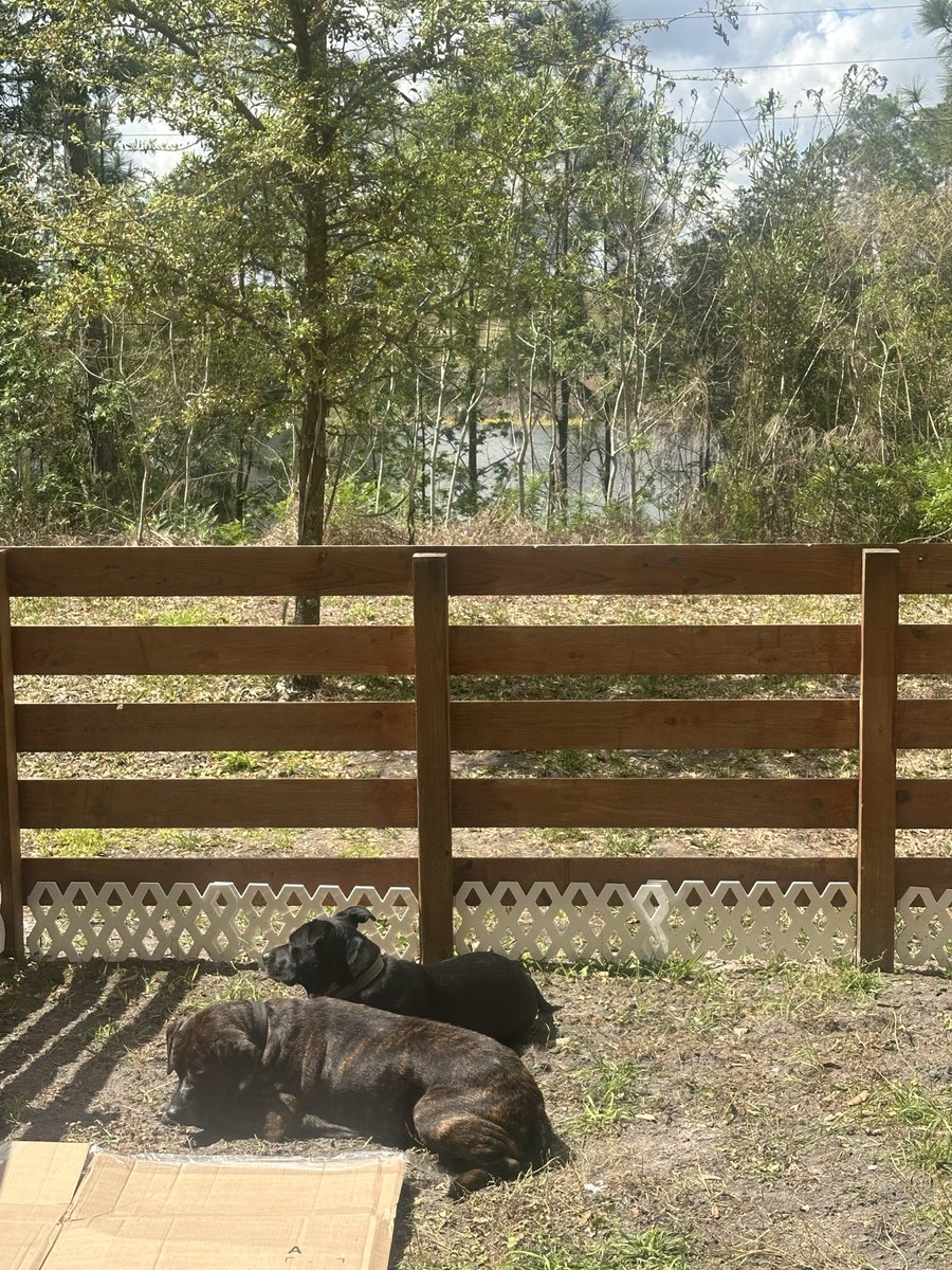 Queenyeli tweet media