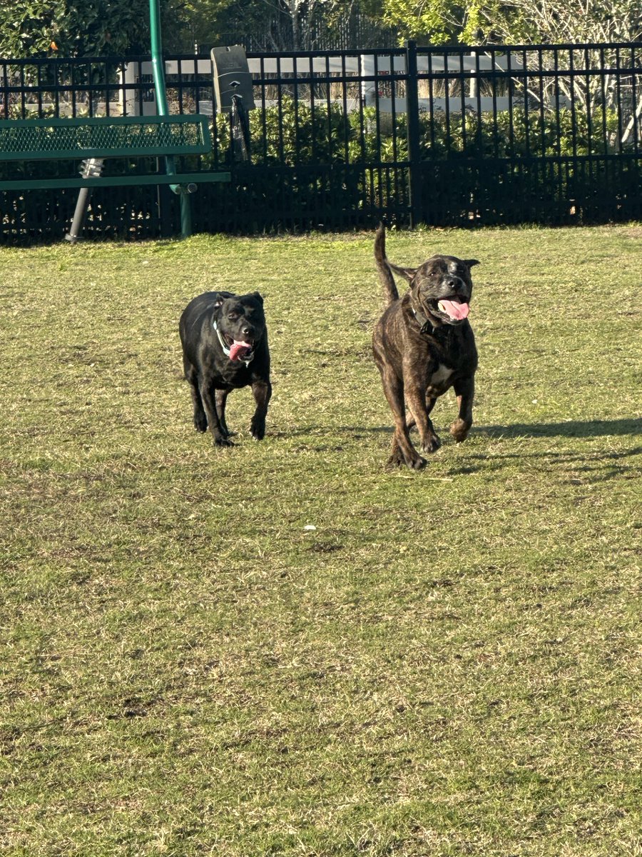 Queenyeli tweet media