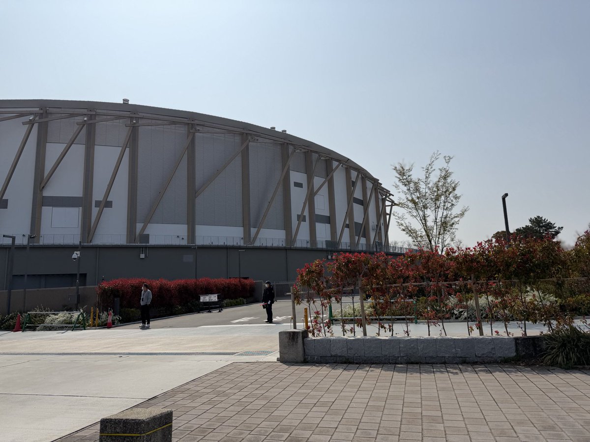 SHIGE-G⚡️🏀🎣 孫4人 tweet media