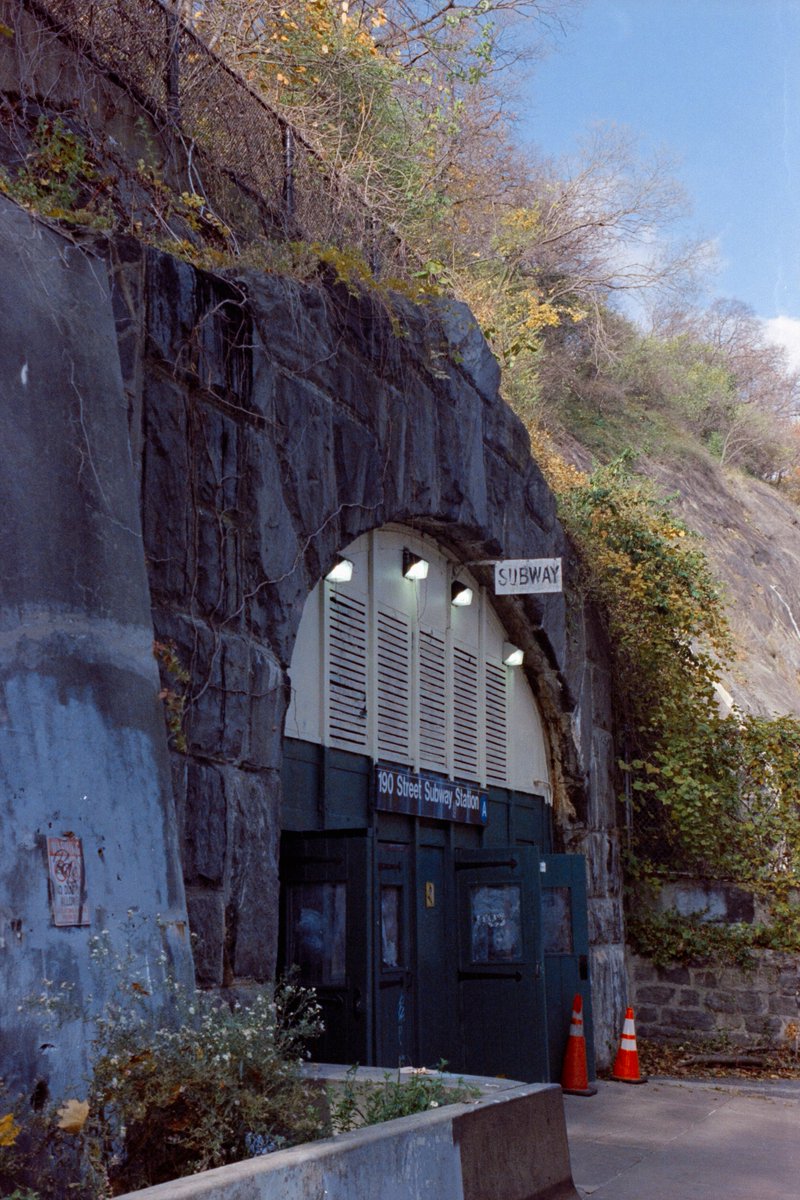 Cyan, like the color tweet media