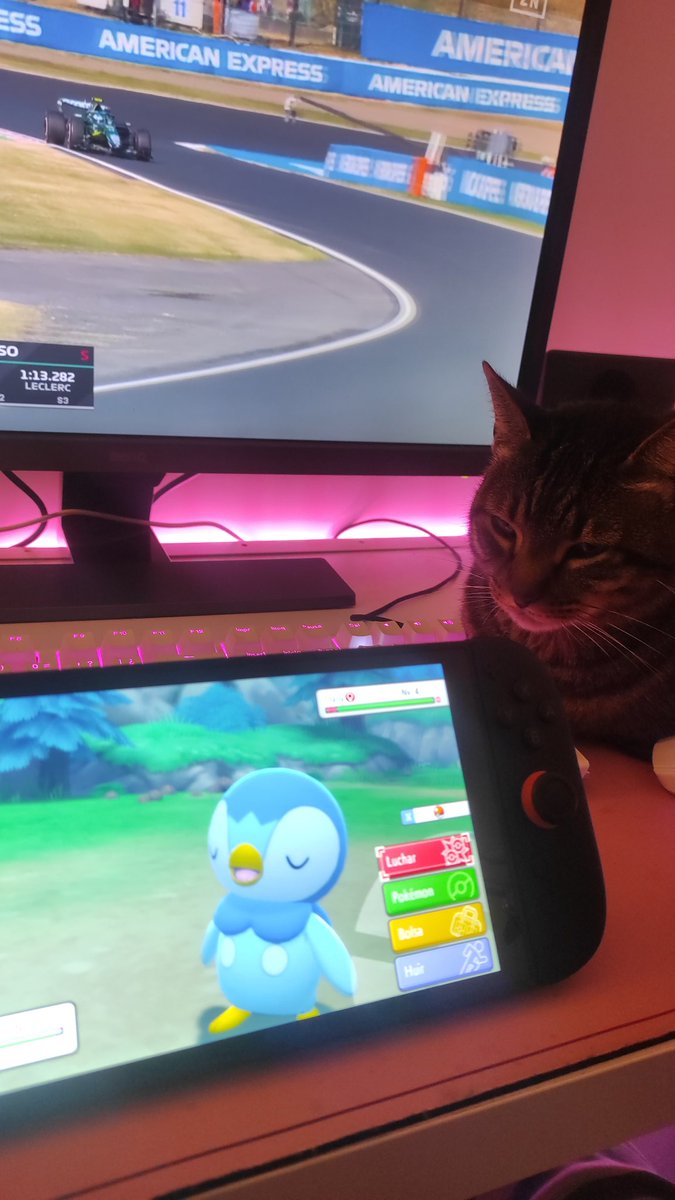 Miya ✨ tweet media