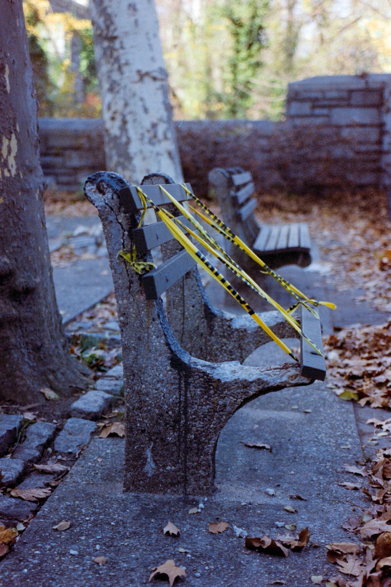 Cyan, like the color tweet media