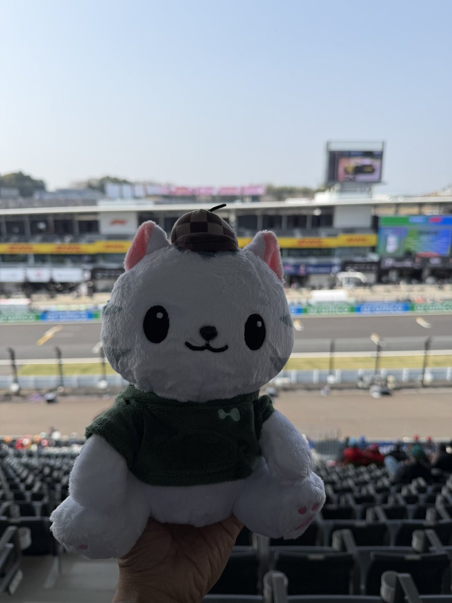 fluffcatto.hl tweet media