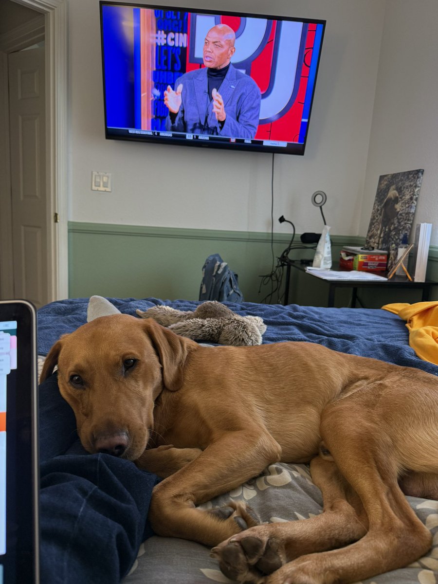 Kayla Anderson tweet media