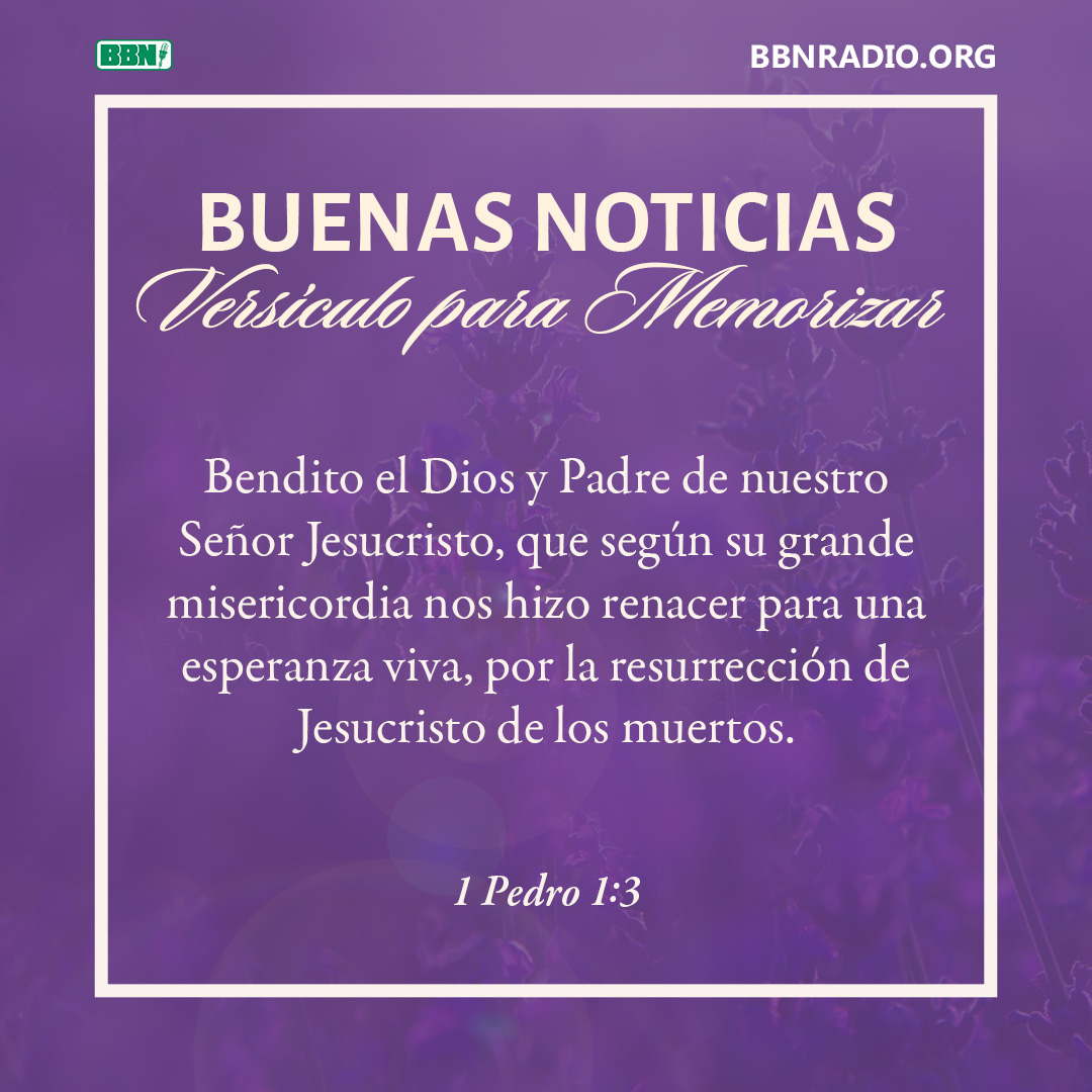 BBNEspañol tweet media