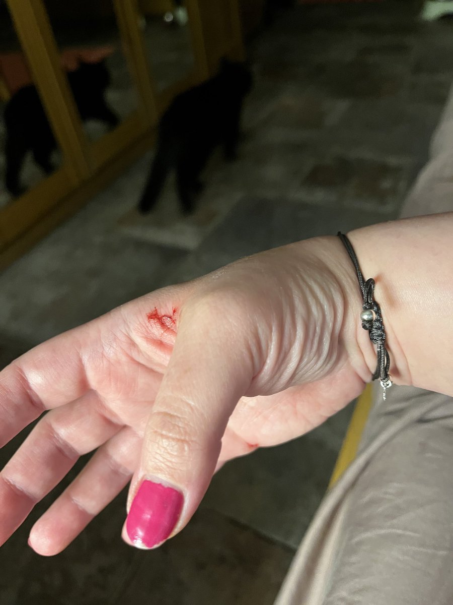 دينا💆🏻‍♀️ tweet media