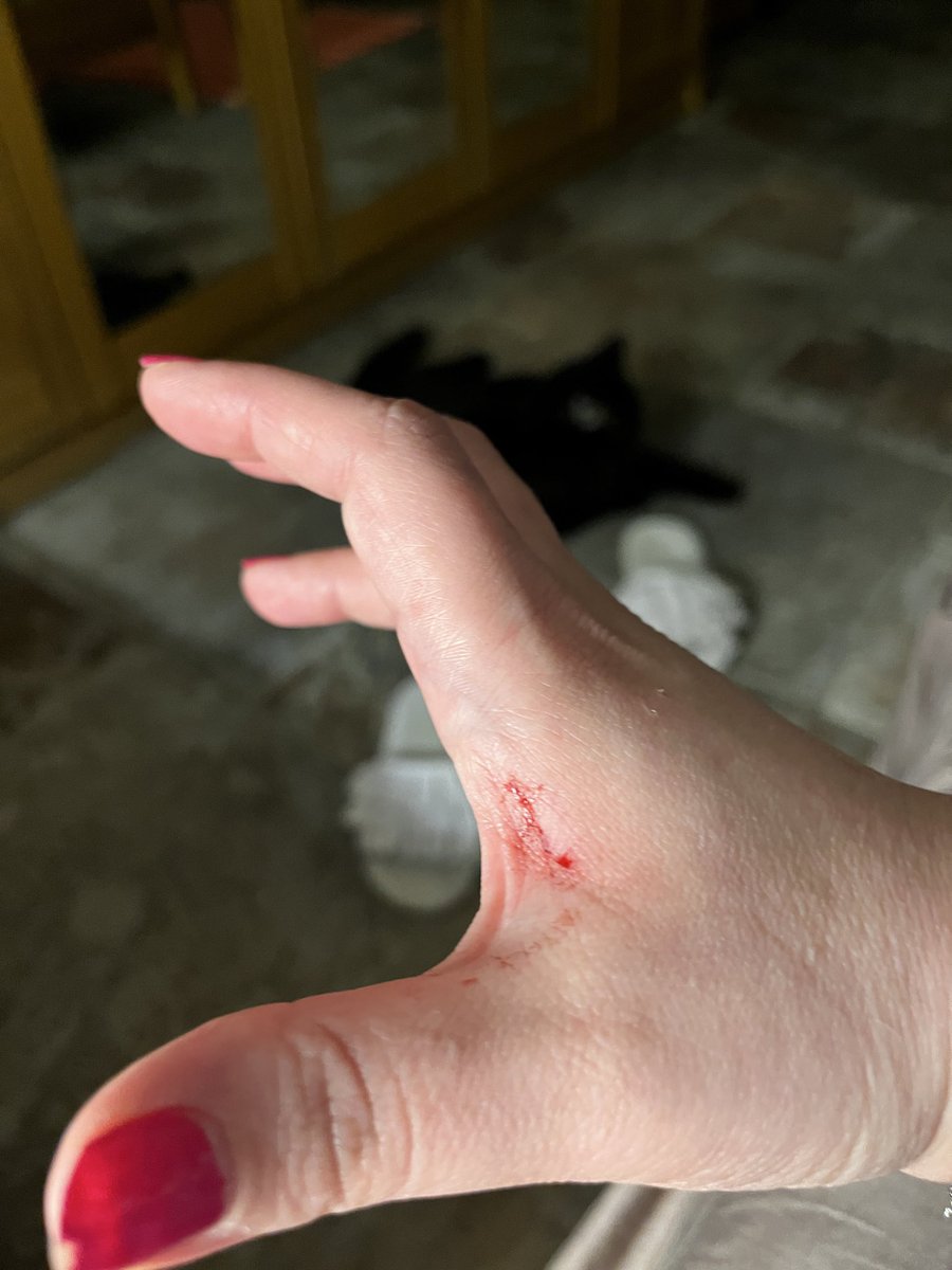 دينا💆🏻‍♀️ tweet media