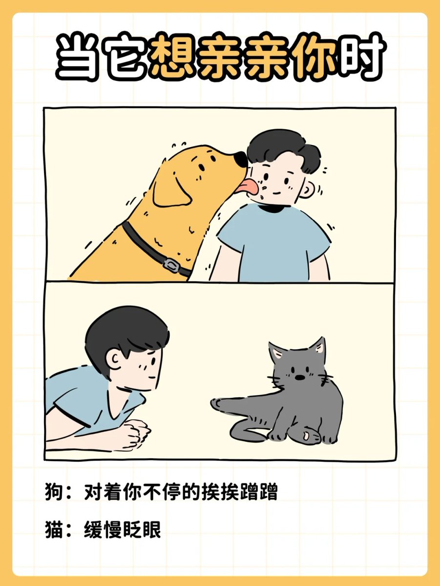 bulatova tweet media