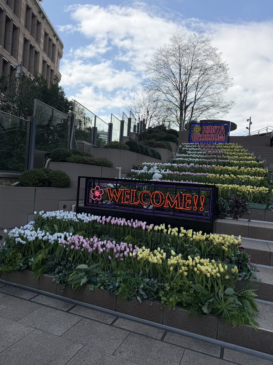 HI-MOUNT J tweet media