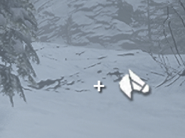 V. ✨♥️♥️🕷️🐝 tweet media