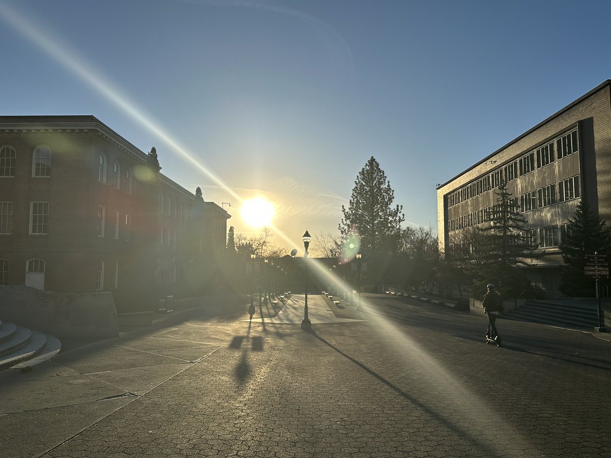 WSU Pullman tweet media