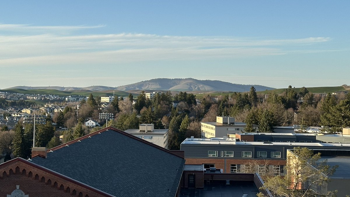 WSU Pullman tweet media