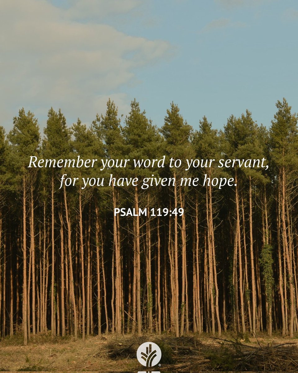 Ian Mbugua tweet media