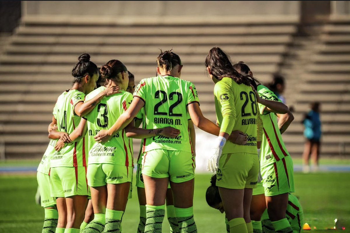 Bianca Mora 🐝 tweet media