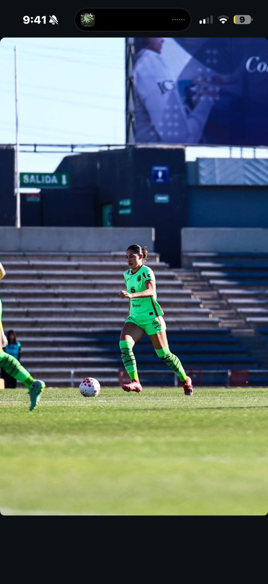 Bianca Mora 🐝 tweet media