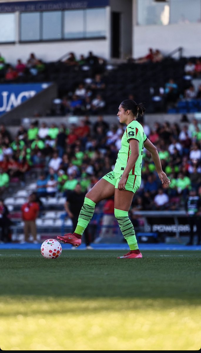 Bianca Mora 🐝 tweet media