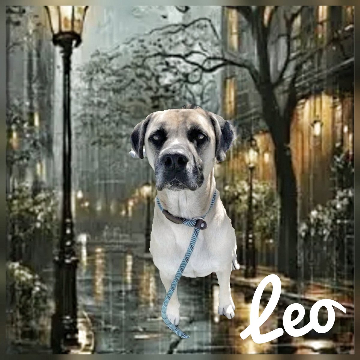 Pamela Roth tweet media