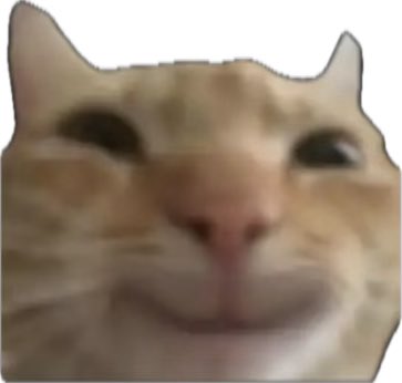 🐈‍⬛20yrs I dont sell I only reward tips🐈‍⬛ tweet media