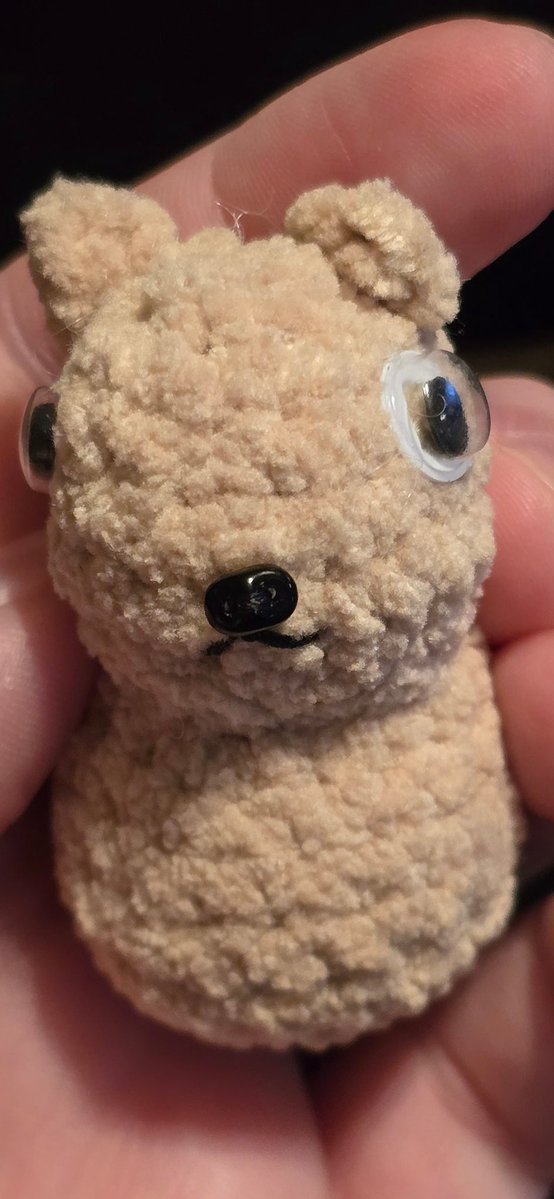 Anneke Siempre, RN 🥔🩺 IRIAM US tweet media