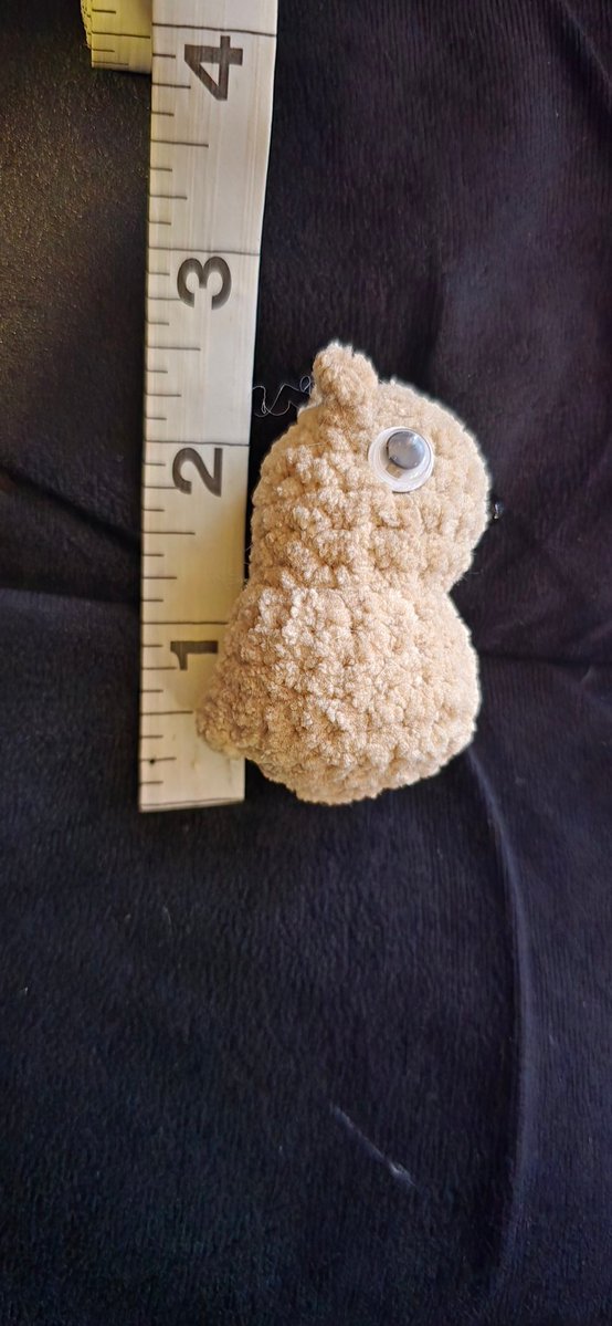 Anneke Siempre, RN 🥔🩺 IRIAM US tweet media