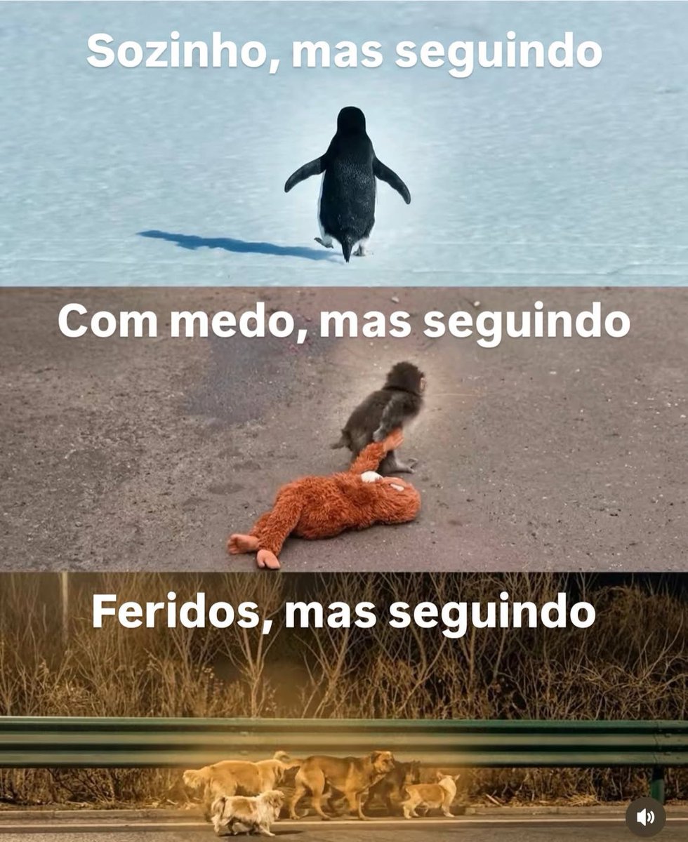 CelioStudart's tweet photo. Eles nos ensinam muito! https://t.co/kC9nWSyk0V