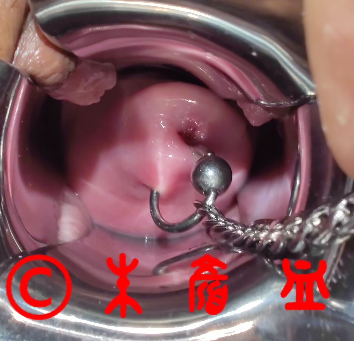 血奴-婵儿 tweet media