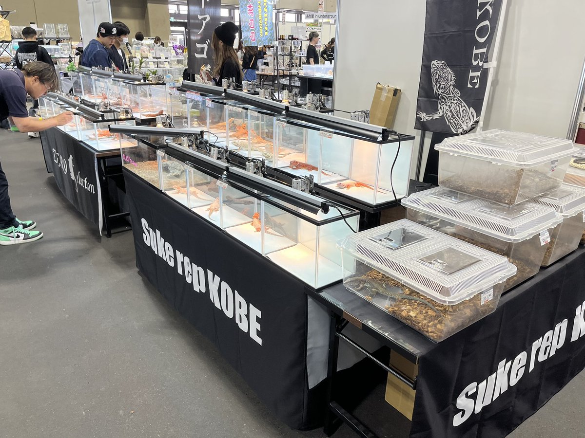 Suke Rep 神戸店 tweet media