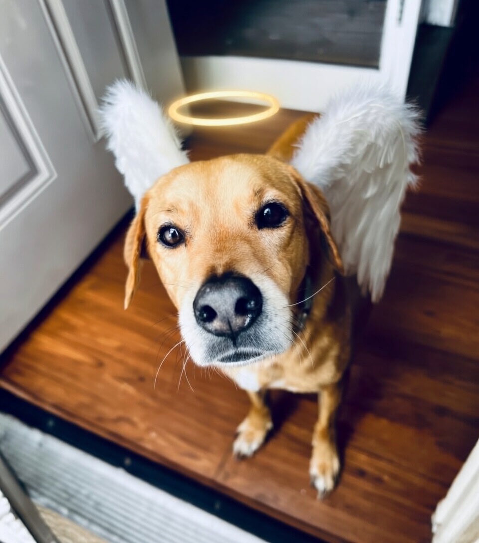 THE90sBB tweet media